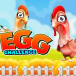 Egg Challenge